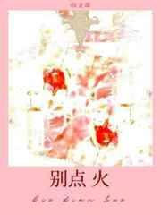 别点火难辞其咎封面