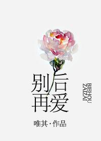 别后再爱封面