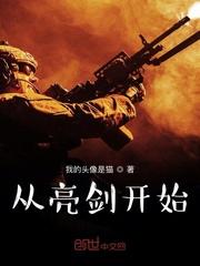 陈凡李云龙封面