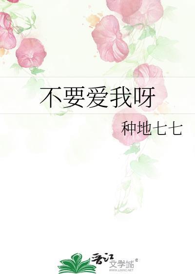 不要爱我呀封面