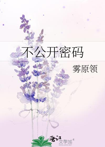 不公开密码封面