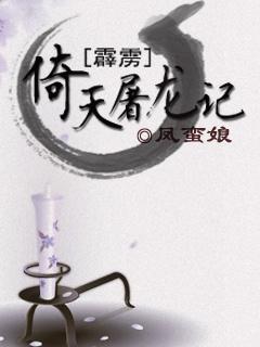 [霹雳]倚天屠龙记封面