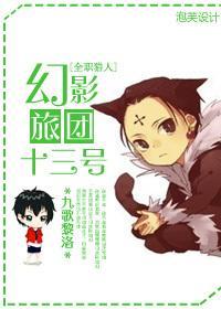 [主猎人]幻影旅团十三号封面