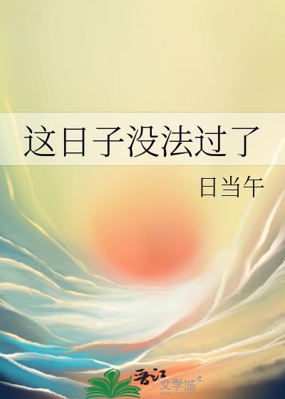 这日子没法过了封面