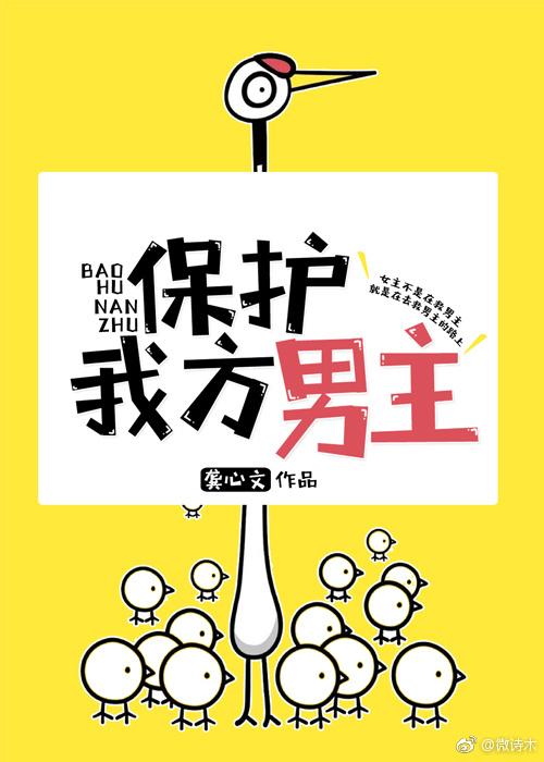 保护我方男主封面