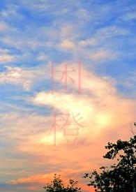 困城（男出轨H）封面