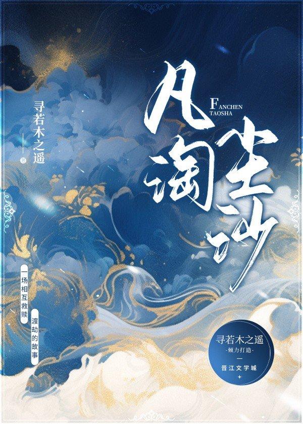 凡尘淘沙封面