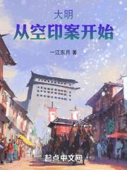大明,从空印案开始封面