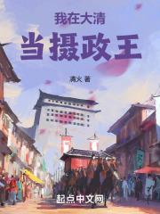 我在大清当摄政王封面