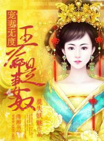 宠妻无度一王爷是妻奴封面
