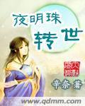 夜明珠转世封面