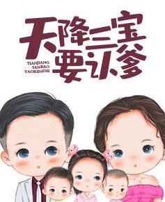极品太子爷海东青封面