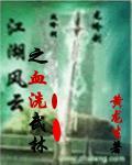 江湖风云之血洗武林封面