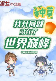 我开局就站在了世界巅峰封面