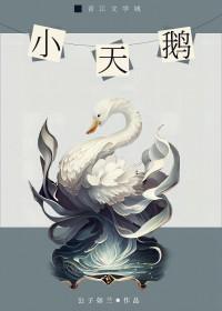 小天鹅封面
