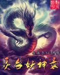 灵台妖神录封面