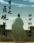 主角叫陆凡白岚白燕妮的封面