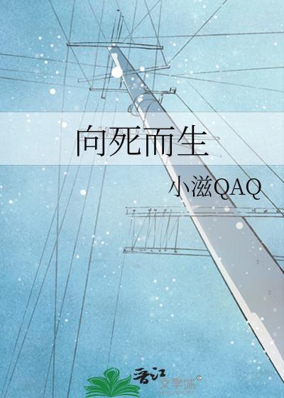 向死而生封面
