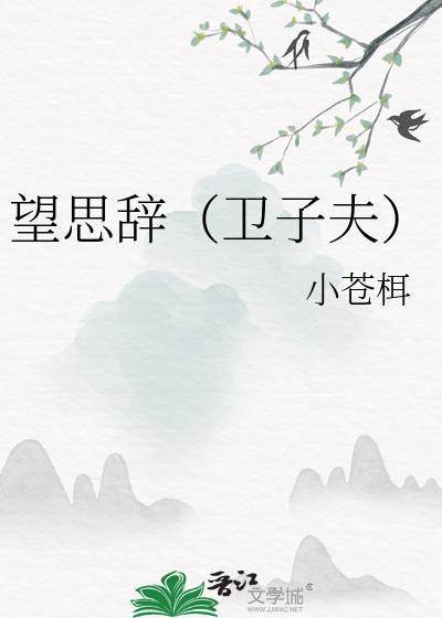 望思辞(卫子夫)封面