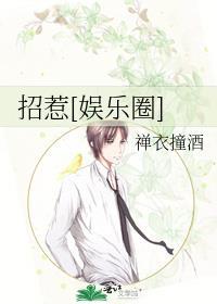 招惹[娱乐圈]封面