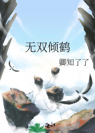 无双倾鹤封面