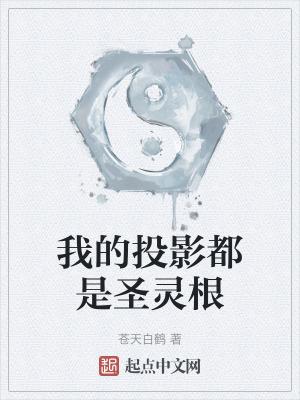 我的投影都是圣灵根封面