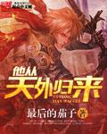 他从天外归来封面
