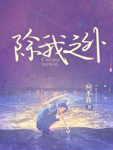 除我之外封面