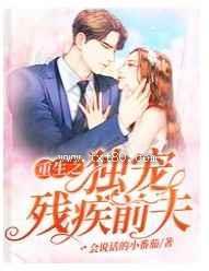 重生之独宠残疾前夫封面