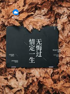 一胎二宝，总裁追妻上瘾沈蔓歌叶南弦封面
