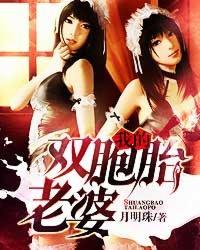 我的双胞胎老婆封面