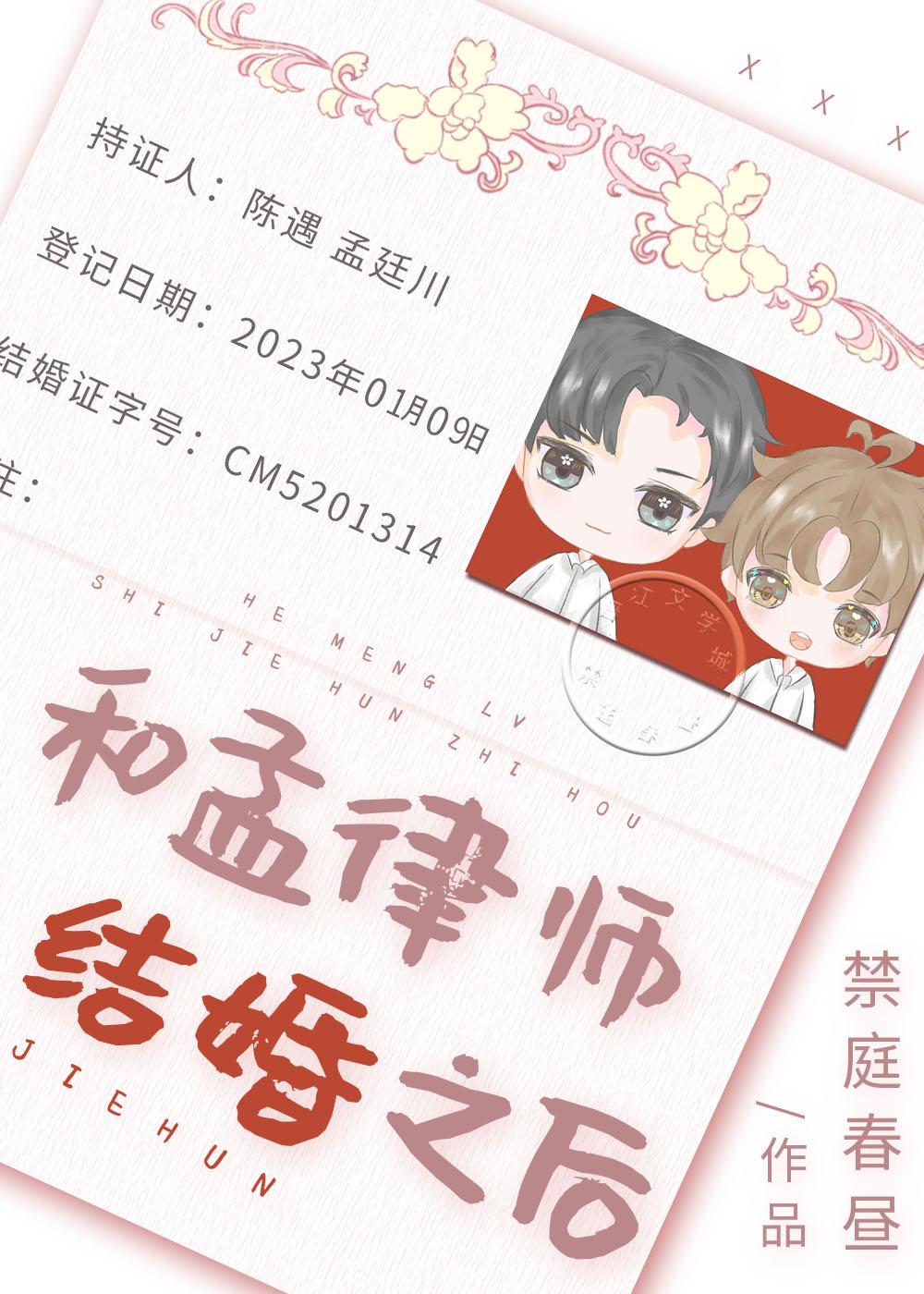 和孟律师结婚之后 百度云下载封面