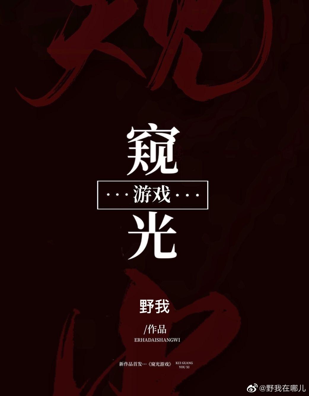 窥光游戏[无限]封面