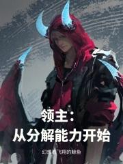 领主：从分解能力开始封面