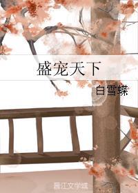 盛宠天下封面