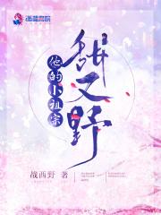 宁璃陆淮封面