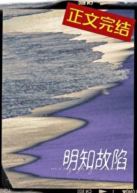 明知故陷封面