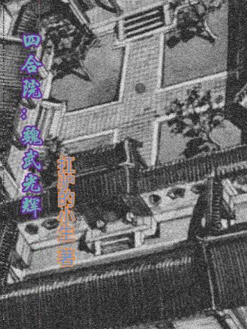 四合院之魏武光辉封面