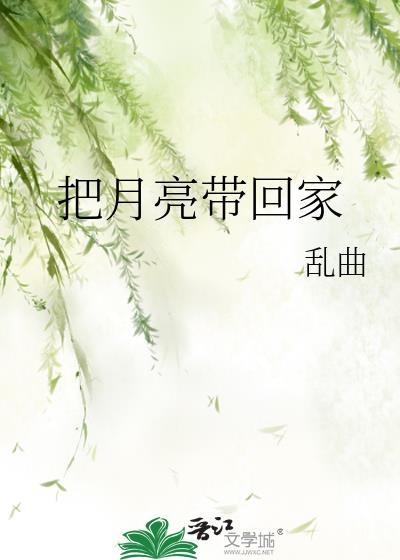 把月亮带回家封面
