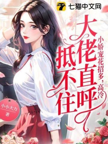 小娇宠花招多，高冷大佬直呼抵不住封面