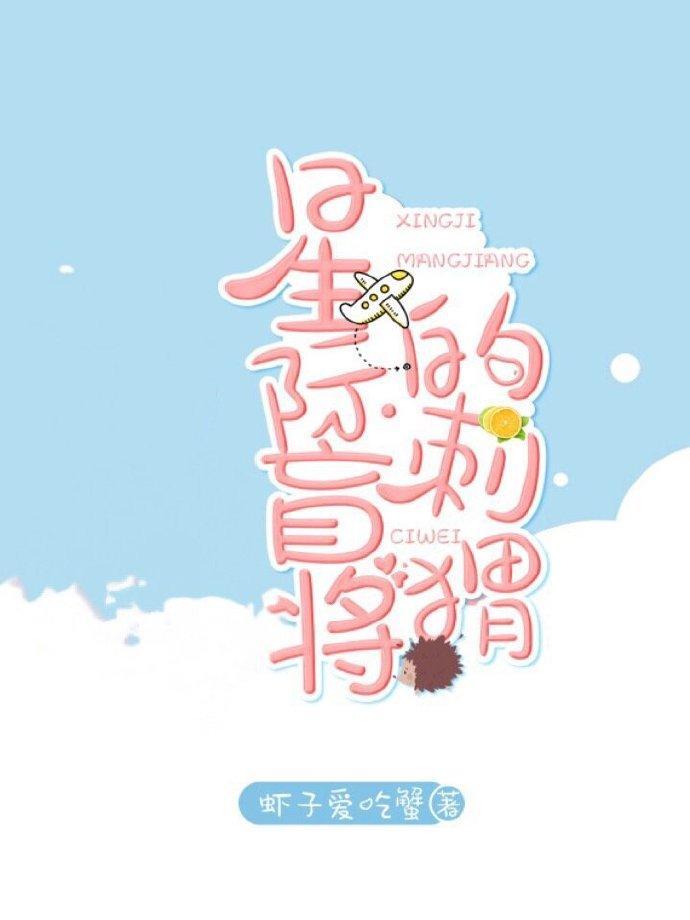 星际盲将的刺猬封面
