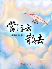 当浮云散去封面