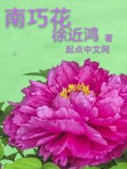 南巧花封面