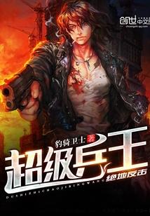 海外兵王封面
