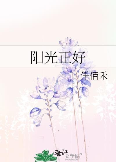 阳光正好封面