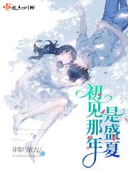 初见那年是盛夏封面