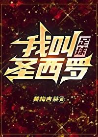 我叫圣西罗[足球]封面