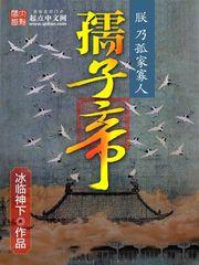 孺子帝封面