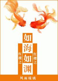 [红楼]如海如渊封面