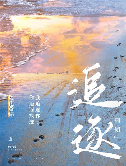 追逐·刑侦封面